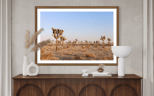 Load image into Gallery viewer, Wayne Ford Studio Photography Print Joshua Tree Evening