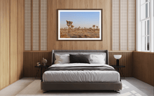 Load image into Gallery viewer, Wayne Ford Studio Photography Print Joshua Tree Evening