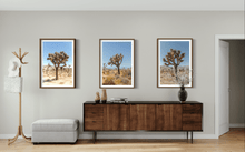 Load image into Gallery viewer, Wayne Ford Studio Photography Print Joshua Tree I