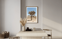 Load image into Gallery viewer, Wayne Ford Studio Photography Print Joshua Tree I