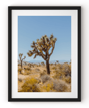 Load image into Gallery viewer, Wayne Ford Studio Photography Print Joshua Tree II