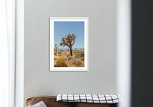 Load image into Gallery viewer, Wayne Ford Studio Photography Print Joshua Tree II