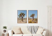 Load image into Gallery viewer, Wayne Ford Studio Photography Print Joshua Tree II