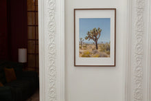 Load image into Gallery viewer, Wayne Ford Studio Photography Print Joshua Tree II
