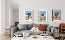 Load image into Gallery viewer, Wayne Ford Studio Photography Print Joshua Tree II