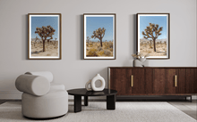 Load image into Gallery viewer, Wayne Ford Studio Photography Print Joshua Tree III