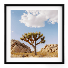Load image into Gallery viewer, Wayne Ford Studio Photography Print Joshua Tree IV