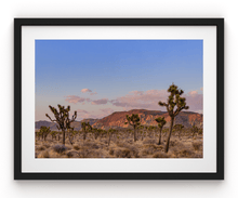 Load image into Gallery viewer, Wayne Ford Studio Photography Print Joshua Tree Magic Hour