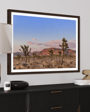 Load image into Gallery viewer, Wayne Ford Studio Photography Print Joshua Tree Magic Hour