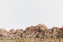 Load image into Gallery viewer, Wayne Ford Studio Photography Print Joshua Tree Minimal