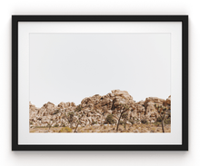 Load image into Gallery viewer, Wayne Ford Studio Photography Print Joshua Tree Minimal