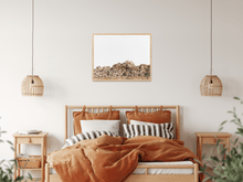 Load image into Gallery viewer, Wayne Ford Studio Photography Print Joshua Tree Minimal