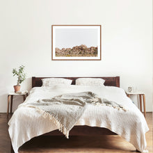 Load image into Gallery viewer, Wayne Ford Studio Photography Print Joshua Tree Minimal
