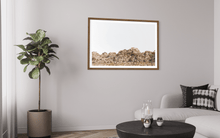 Load image into Gallery viewer, Wayne Ford Studio Photography Print Joshua Tree Minimal
