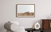 Load image into Gallery viewer, Wayne Ford Studio Photography Print Joshua Tree Minimal