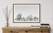 Load image into Gallery viewer, Wayne Ford Studio Photography Print Joshua Tree Minimal II