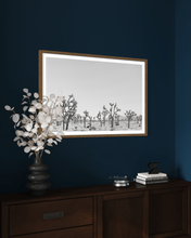 Load image into Gallery viewer, Wayne Ford Studio Photography Print Joshua Tree Minimal II