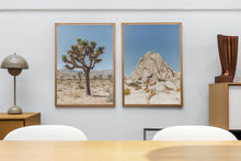Load image into Gallery viewer, Wayne Ford Studio Photography Print Joshua Tree Rock Formation