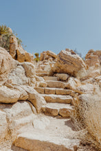 Load image into Gallery viewer, Wayne Ford Studio Photography Print Joshua Tree Steps