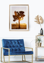 Load image into Gallery viewer, Wayne Ford Studio Photography Print Joshua Tree Sunset
