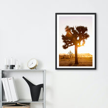 Load image into Gallery viewer, Wayne Ford Studio Photography Print Joshua Tree Sunset