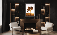 Load image into Gallery viewer, Wayne Ford Studio Photography Print Joshua Tree Sunset