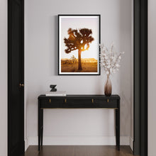 Load image into Gallery viewer, Wayne Ford Studio Photography Print Joshua Tree Sunset