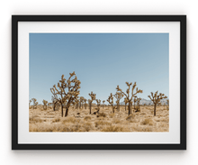 Load image into Gallery viewer, Wayne Ford Studio Photography Print Joshua Tree V