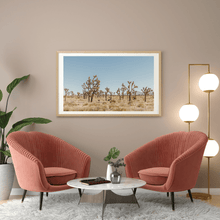 Load image into Gallery viewer, Wayne Ford Studio Photography Print Joshua Tree V