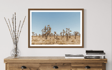 Load image into Gallery viewer, Wayne Ford Studio Photography Print Joshua Tree V