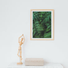 Load image into Gallery viewer, Wayne Ford Studio Photography Print Lush Ferns
