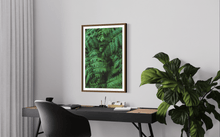 Load image into Gallery viewer, Wayne Ford Studio Photography Print Lush Ferns