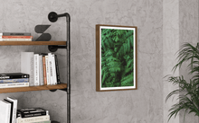 Load image into Gallery viewer, Wayne Ford Studio Photography Print Lush Ferns