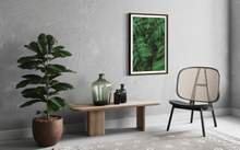 Load image into Gallery viewer, Wayne Ford Studio Photography Print Lush Ferns