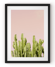 Load image into Gallery viewer, Wayne Ford Studio Photography Print Minimal Cactus I