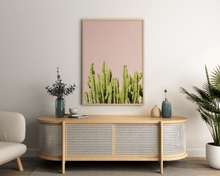 Load image into Gallery viewer, Wayne Ford Studio Photography Print Minimal Cactus I