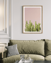 Load image into Gallery viewer, Wayne Ford Studio Photography Print Minimal Cactus I
