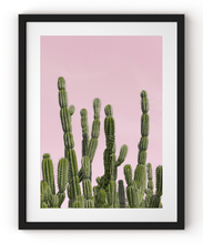 Load image into Gallery viewer, Wayne Ford Studio Photography Print Minimal Cactus II