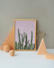 Load image into Gallery viewer, Wayne Ford Studio Photography Print Minimal Cactus II