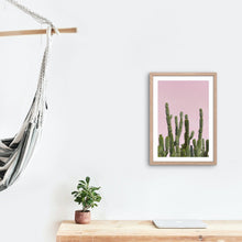 Load image into Gallery viewer, Wayne Ford Studio Photography Print Minimal Cactus II