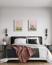 Load image into Gallery viewer, Wayne Ford Studio Photography Print Minimal Cactus II