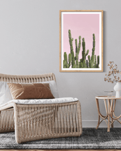 Load image into Gallery viewer, Wayne Ford Studio Photography Print Minimal Cactus II