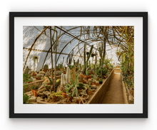 Load image into Gallery viewer, Wayne Ford Studio Photography Print Mortons Cactorium
