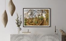 Load image into Gallery viewer, Wayne Ford Studio Photography Print Mortons Cactorium