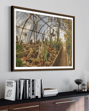 Load image into Gallery viewer, Wayne Ford Studio Photography Print Mortons Cactorium