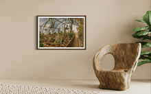 Load image into Gallery viewer, Wayne Ford Studio Photography Print Mortons Cactorium