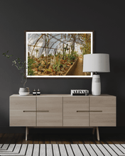 Load image into Gallery viewer, Wayne Ford Studio Photography Print Mortons Cactorium