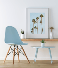 Load image into Gallery viewer, Wayne Ford Studio Photography Print Palm Springs Palms