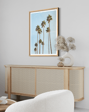 Load image into Gallery viewer, Wayne Ford Studio Photography Print Palm Springs Palms