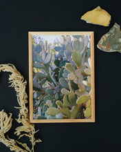 Load image into Gallery viewer, Wayne Ford Studio Photography Print Prickly Pear I